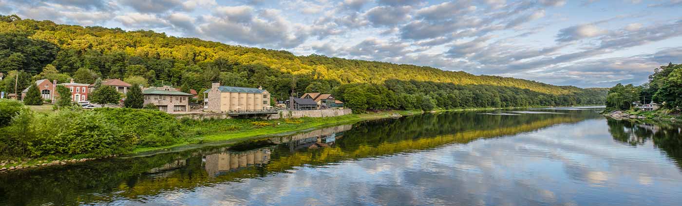 Banner for Grant Services + Business Financing