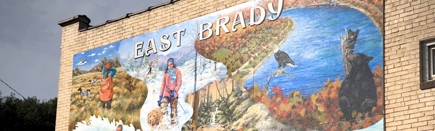 Banner for County Profile